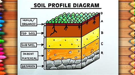 Visual Guide: Sustainable Soil Model Drawing Tips