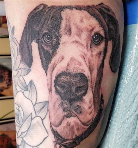 Take A Look At These Detailed Great Dane Dog Tattoos Inku Paw Take A Look At These Detailed Great Dane Dog Tattoos Inku Paw