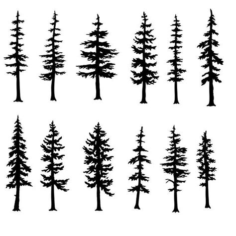 Tall Pine Tree Silhouette Pine Tree Tattoo Pine Tree Silhouette