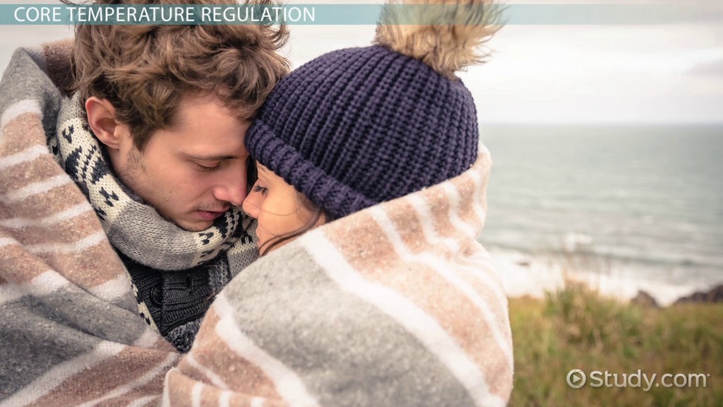 Temperature Definition Measurement Examples Lesson Study Com