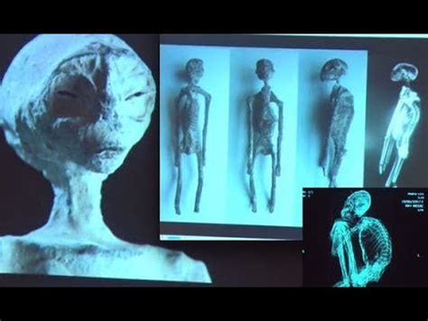 The Enigma Of The Nazca Alien Mummies Unveiling The Mysteries Youtube