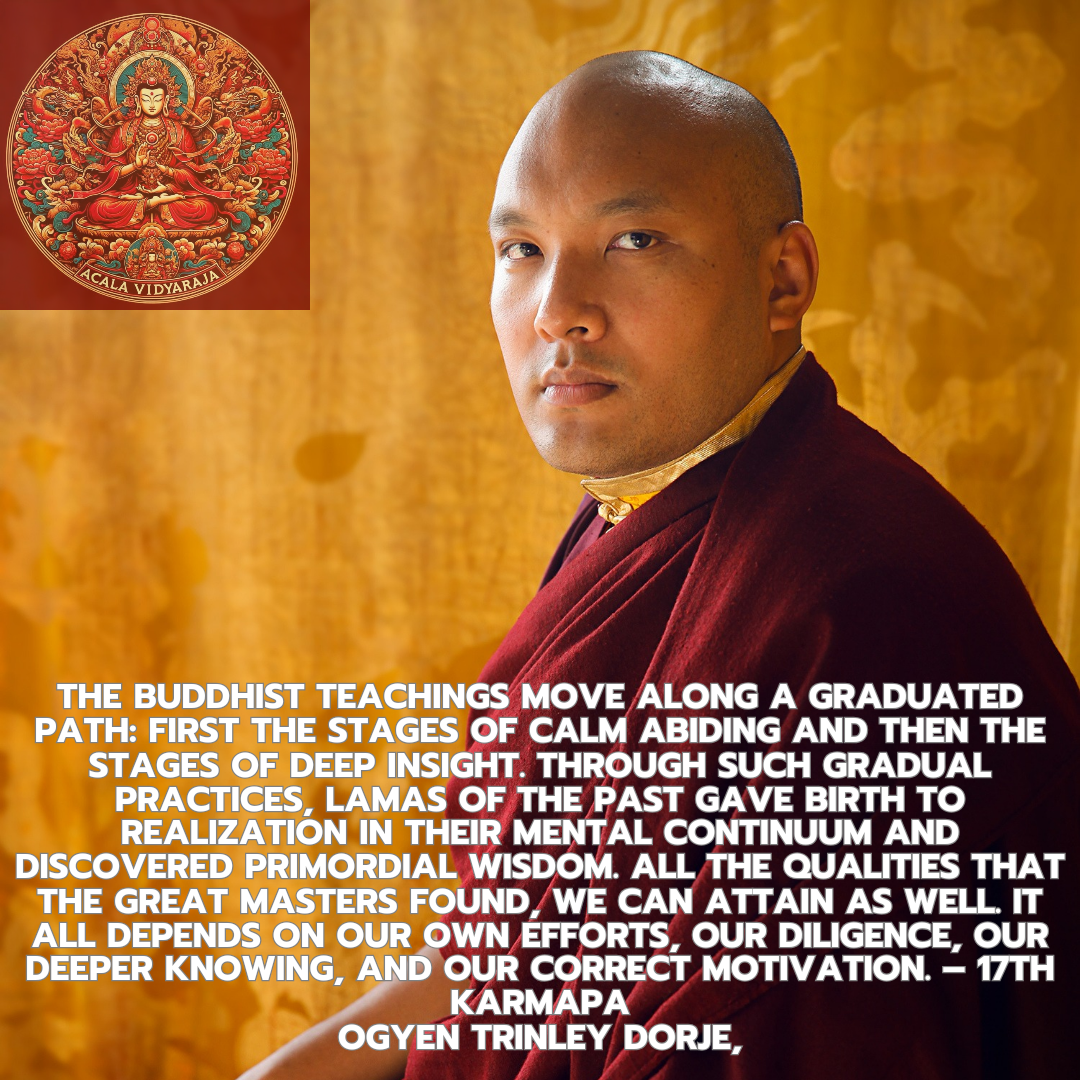 The Path To Realization In Buddhism A Journey Through Calm Abiding And