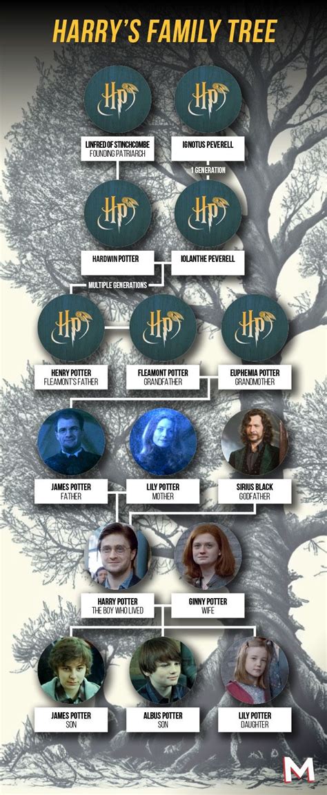 The Potter Family Tree From Harry Potter Explained The Potter Family Tree From Harry Potter Explained