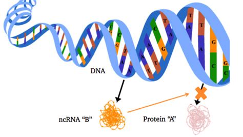 The Secrets Of Our Dna Nc Dna Day Blog