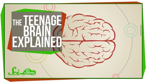 The Teenage Brain Explained From Scishow Teenage Brain Emotions