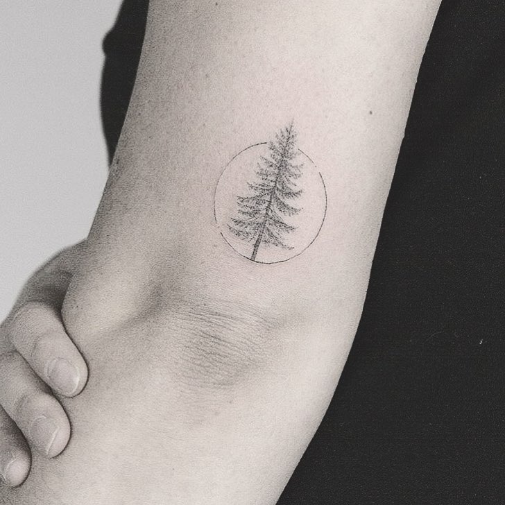 Tiny Pine Tree Tattoo Tiny Pine Tree Tattoo