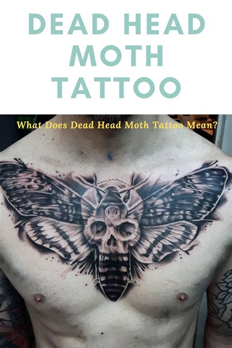 Top 107 Death Head Moth Tattoo Meaning Monersathe Com
