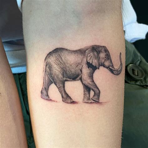 Top 128 Elephant Tattoo Trunk Up Spcminer Com