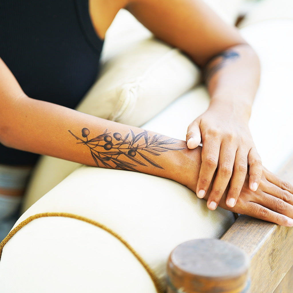 Top 72 Olive Branch Tattoo Collarbone Latest In Cdgdbentre