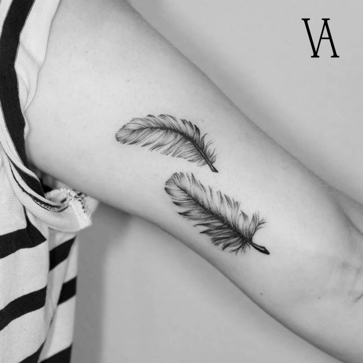 Two Feathers On The Left Inner Arm