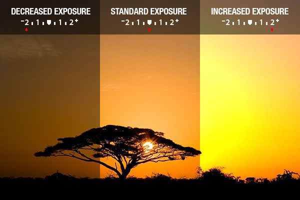 Understanding Camera Exposure Iso Aperture And Shutter Speed Explained Understanding Camera Exposure Iso Aperture And Shutter Speed Explained