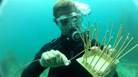 Underwater Basket Weaving Youtube