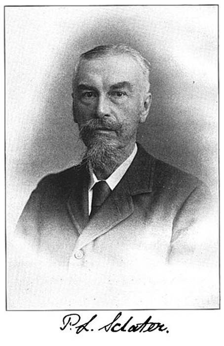 Unravelling The Mystery Behind The East Bay Walls Who Really Made Them