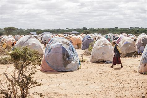 Unsanitary Conditions in Somalia's Refugee Camps: Shocking Pictures