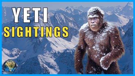 Unveiling The Mystery The Truth Behind The Yeti Youtube