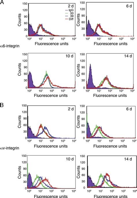 V Integrin Expression Profiles Change During Differentiation V Integrin Expression Profiles Change During Differentiation