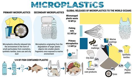 Water Free Full Text Microplastics In The Ecosystem An Overview On Water Free Full Text Microplastics In The Ecosystem An Overview On