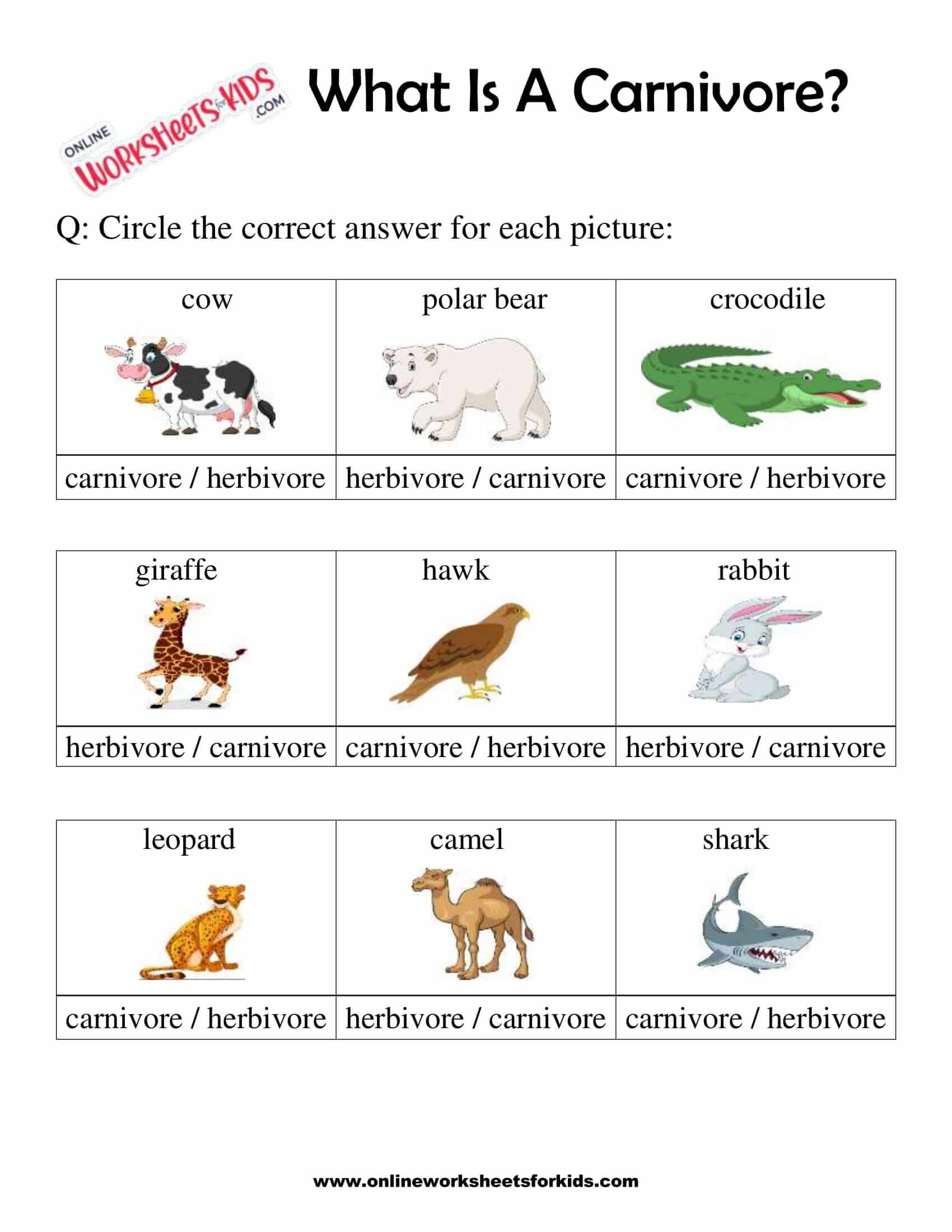 Savanna Birds: Carnivores, Herbivores, or Omnivores?