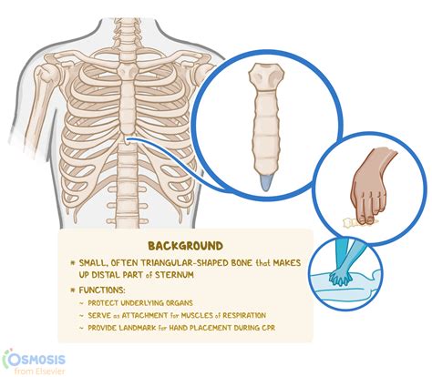 What is an X Process? Explained Simply.