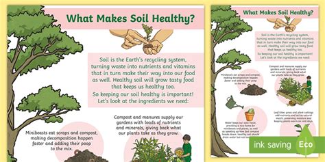 What Makes Soil Healthy Display Poster Teacher Made What Makes Soil Healthy Display Poster Teacher Made