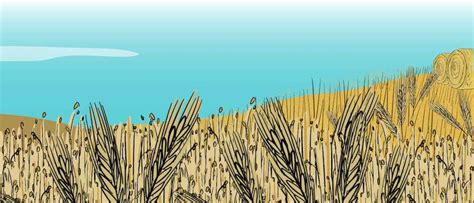 Wheat Explore Saskatchewan Agriculture