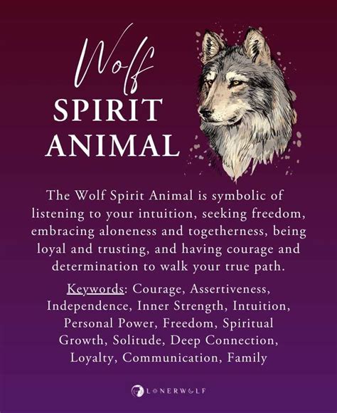 Wolf Symbolism And Meanings Are Everywhere And The Spiritual Meaning