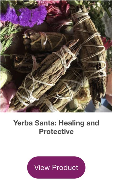 Yerba Santa Healing And Protective Everything Soulful Yerba Santa Healing And Protective Everything Soulful